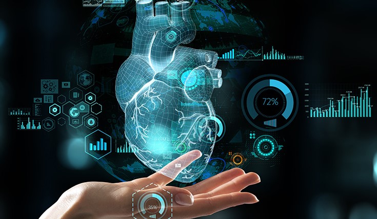 alternative un modello per studiare l effetto degli inquinanti sul tessuto cardiaco articolo full